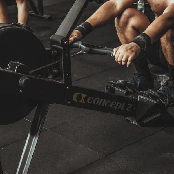 Gym Equipment